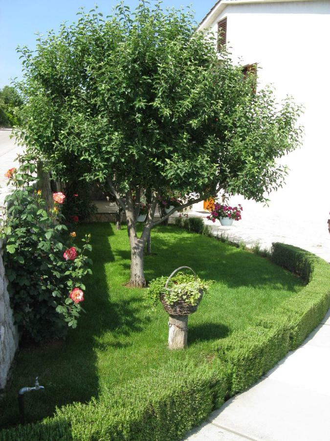 Apartmani Polonijo Nada Krk Town Esterno foto